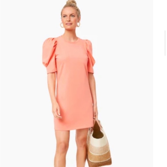 Tuckernuck Pomander Place Stella Dress Sheath Puff Sleeve Apricot Cotton - Picture 1 of 5